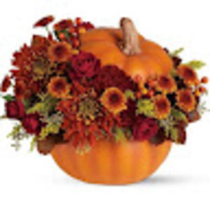 Meet your Posher, Irene